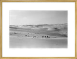 Thesiger's party in the Empty Quarter