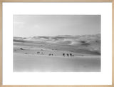 Thesiger's party in the Empty Quarter