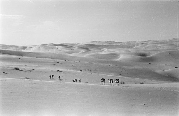 Thesiger's party in the Empty Quarter