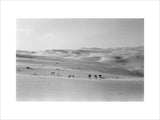 Thesiger's party in the Empty Quarter