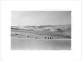 Thesiger's party in the Empty Quarter