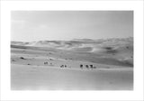 Thesiger's party in the Empty Quarter