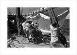 Sailors raising the mainsail