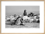 Kurdish woman milking sheep
