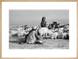 Kurdish woman milking sheep