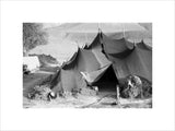 Shepherd's tent in the Alborz mountains