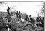 Pokot women butchering a camel