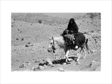 Bakhtiari woman on horseback