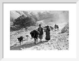Bakhtiari nomads migrating