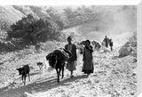 Bakhtiari nomads migrating