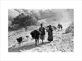 Bakhtiari nomads migrating