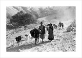 Bakhtiari nomads migrating