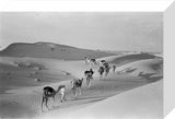 Thesiger's party in the Khatam Sands.