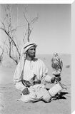 Arab falconer