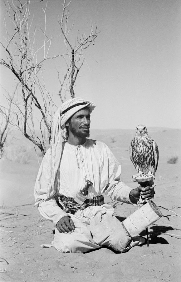Arab falconer