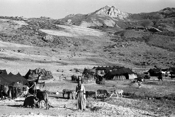 Baliki encampment on Mount Halgord