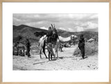 Man with camel
