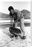 John Newbould with a pelican