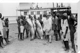 Wedderburn-Maxell with Nile perch