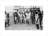 Wedderburn-Maxell with Nile perch