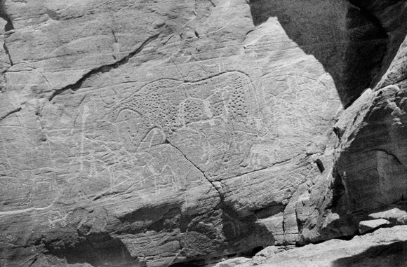 Rock art in northern Tibesti