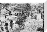 Samburu families with laden donkeys