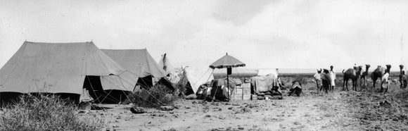 Thesiger's camp at Awash Station