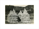Stacked rice-straw