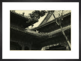 Summer Palace rooftops