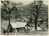 View of St. George's, Grenada