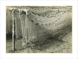 Drying fishing nets