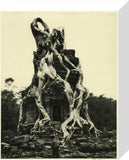 Tree roots at Angkor