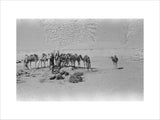 Wilfred Thesiger's party at the ...