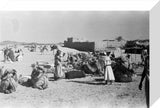 View of a camel caravan ...