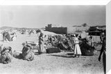 View of a camel caravan ...