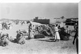 View of a camel caravan ...