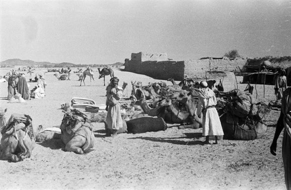 View of a camel caravan ...