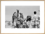 Portrait of Wilfred Thesiger's travelling ...