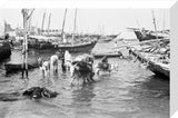 View of water sellers unloading ...