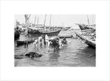View of water sellers unloading ...