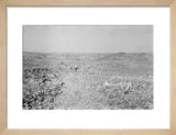View of Wilfred Thesiger's travelling ...