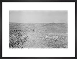 View of Wilfred Thesiger's travelling ...
