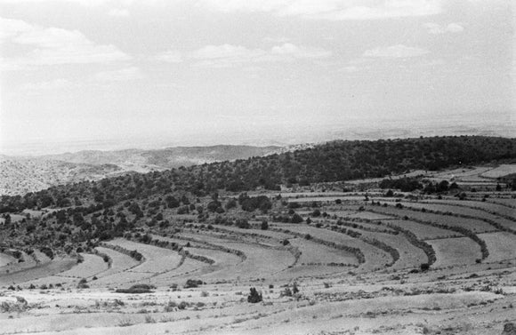 View of terraced fields criss-crossing ...