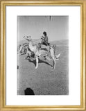 View of a member of ...
