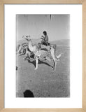 View of a member of ...