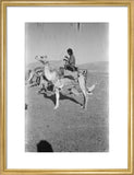 View of a member of ...
