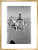 View of a member of ...