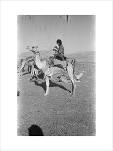 View of a member of ...