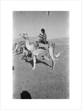 View of a member of ...