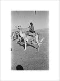 View of a member of ...